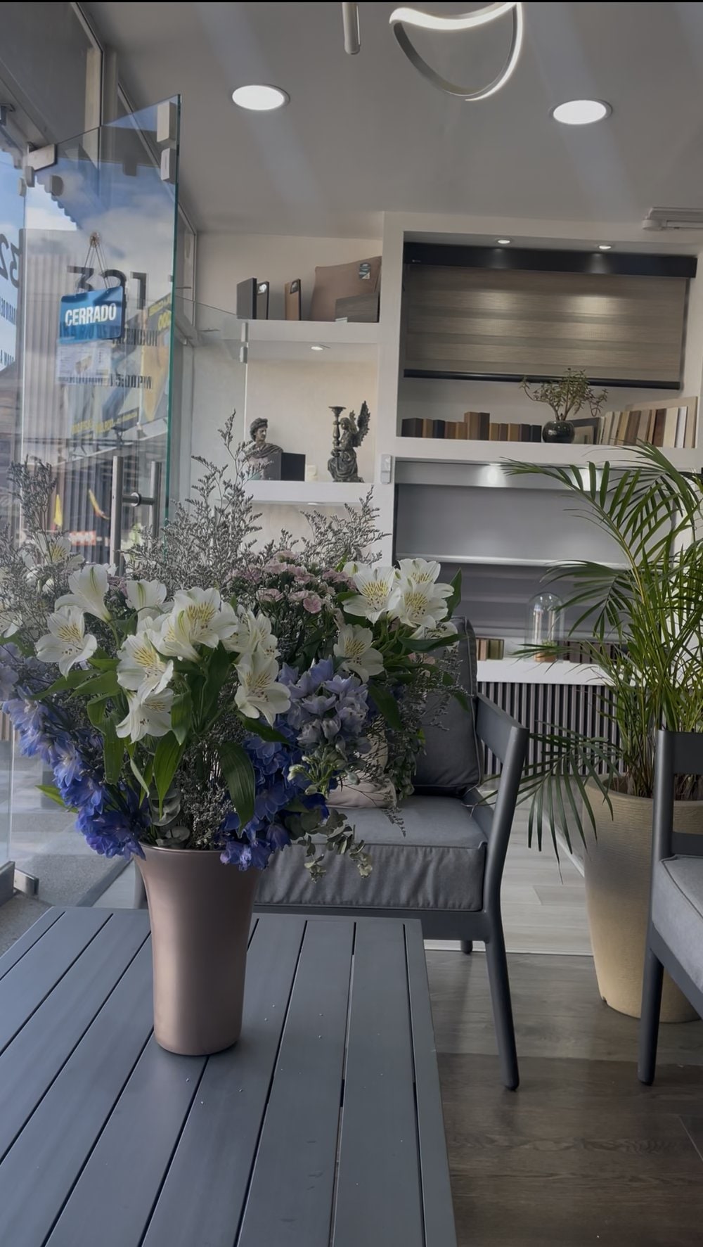 Interior de la tienda Morell Corp